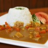 菜食生活　蔬菜咖哩(調理包)