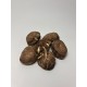 大分縣產美味香菇(盒裝直徑5公分)