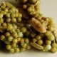日本抹茶米菓糕點