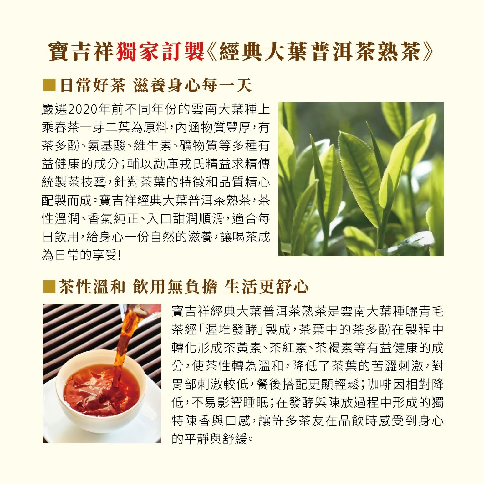 251030經典大葉普洱茶說明書-1.j